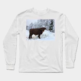 Scottish Highland Cattle Calf 1625 Long Sleeve T-Shirt